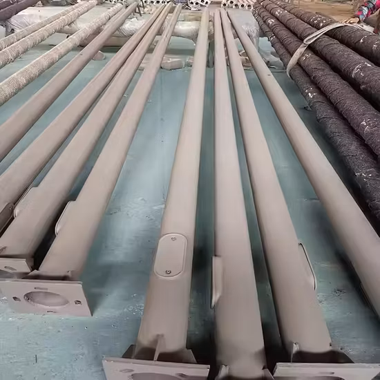 Braço duplo galvanizado LED de aço inoxidável usado em fábrica Braço simples 6m 8m 10m 12m Braço duplo e simples Preço de aço galvanizado Poste solar de luz de rua Lam